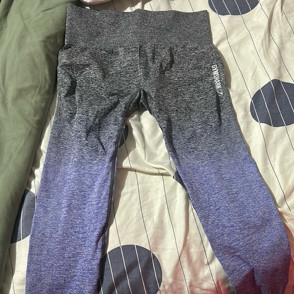 Gym shark leggings
